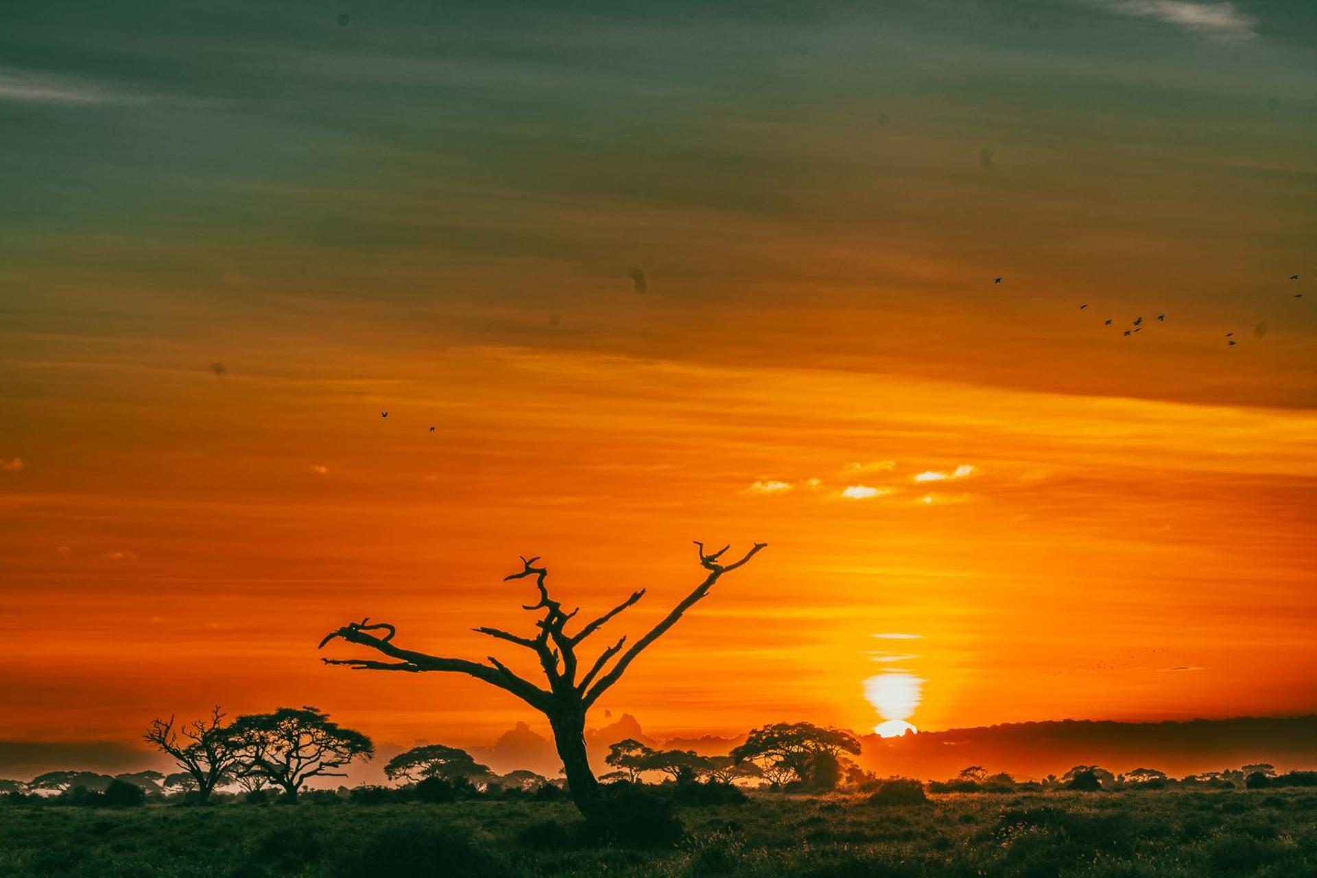 Kilimanjaro View Cabin-Amboseli Oloitokitok Стая снимка