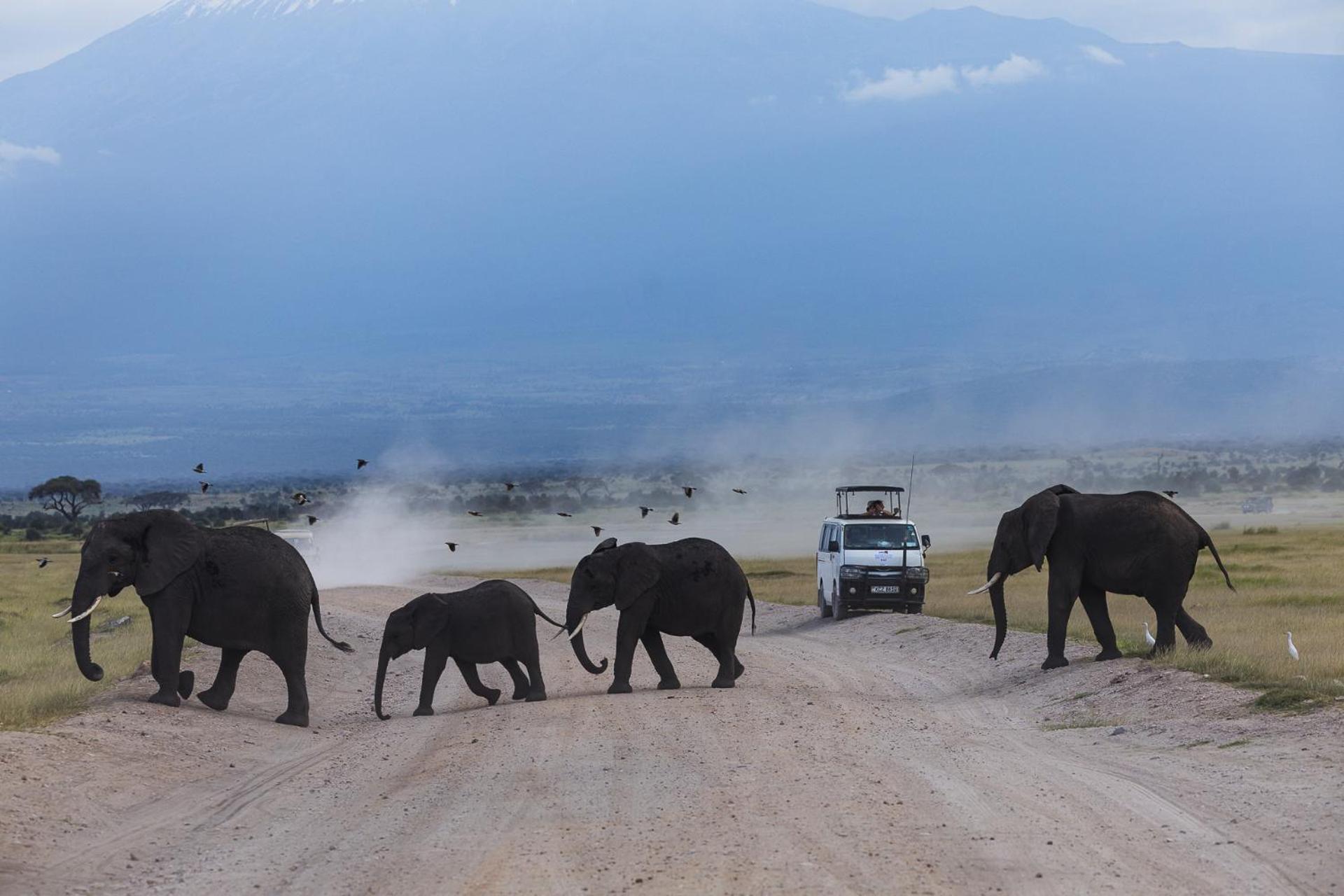 Kilimanjaro View Cabin-Amboseli Oloitokitok Стая снимка