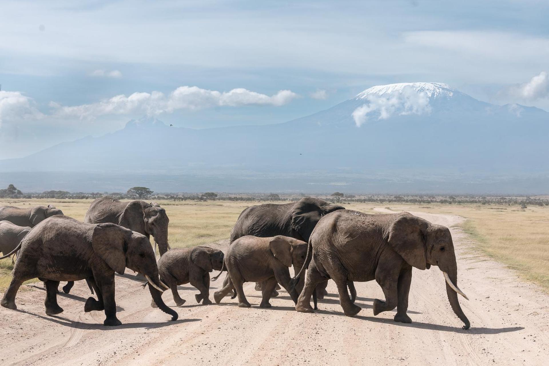 Kilimanjaro View Cabin-Amboseli Oloitokitok Стая снимка
