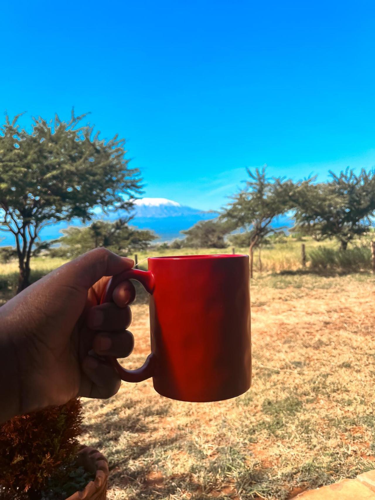 Kilimanjaro View Cabin-Amboseli Oloitokitok Стая снимка